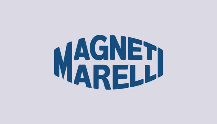 Magnet Marelli Yedek Parça Ürün Grubu