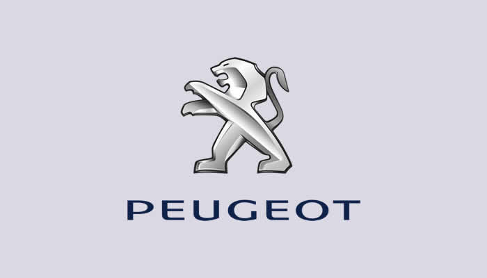 Peugeot Yedek Parça Ürün Grubu